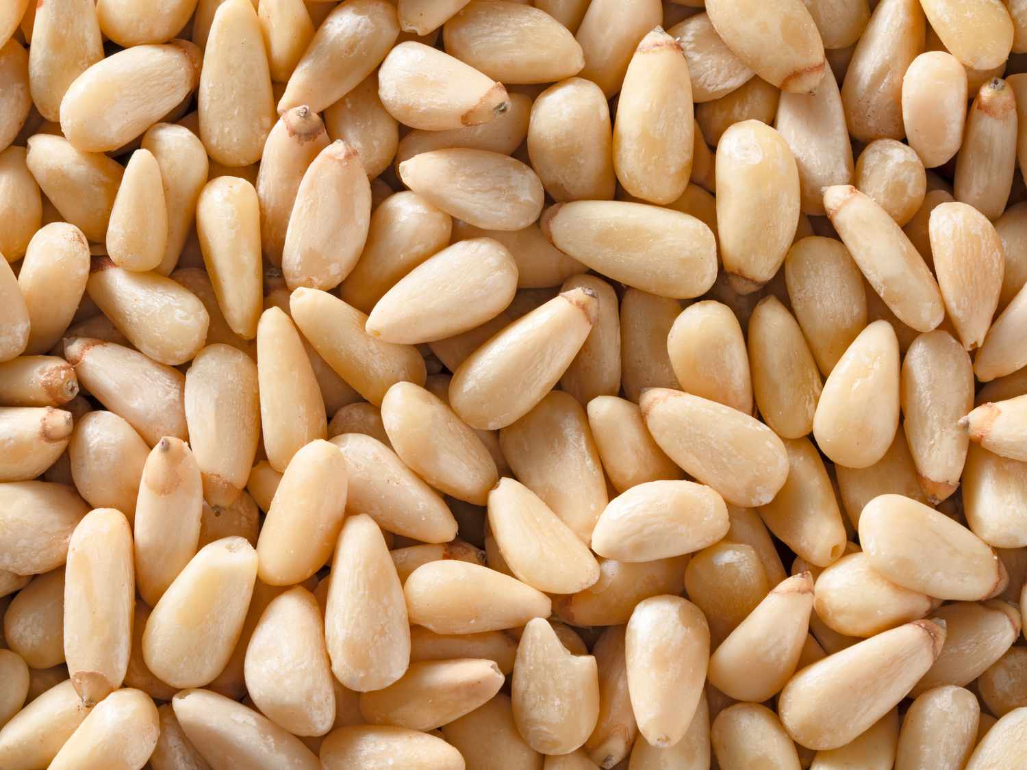 <p>Pine nut</p>