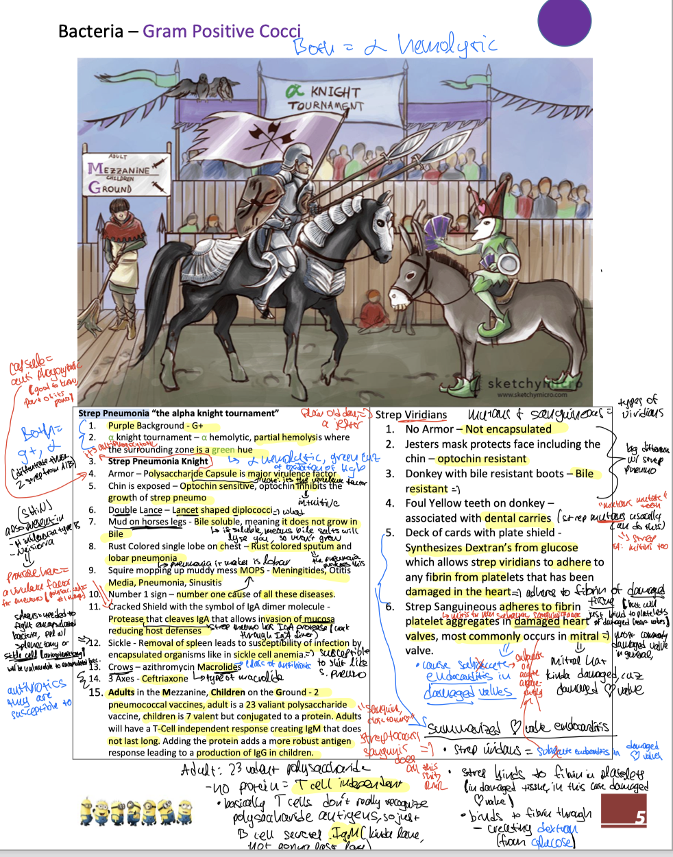knowt flashcard image