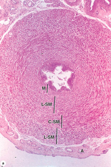 <p>What is this?</p>