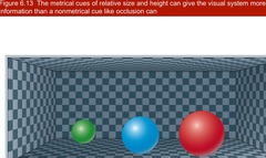 <p>Metrical depth cues</p>