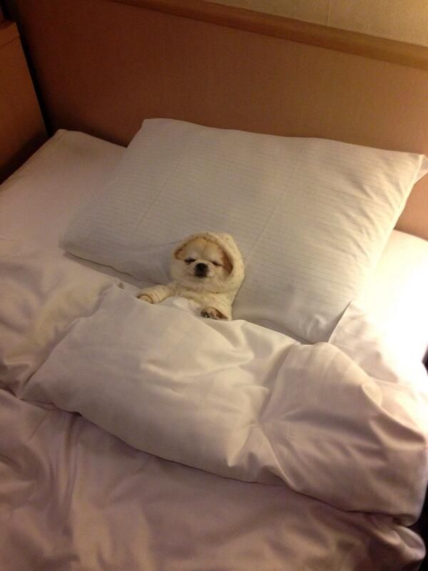 <p>Bedtime</p>