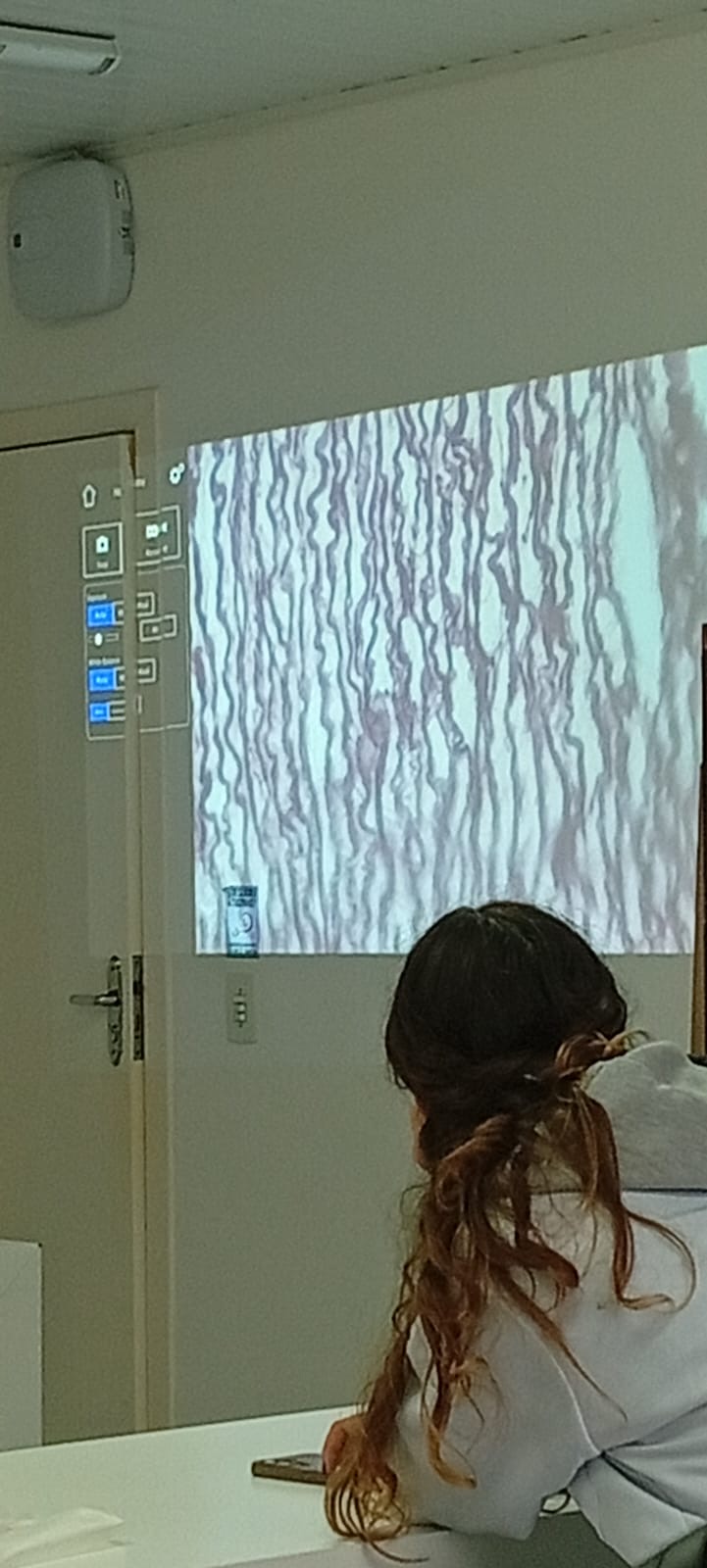 term image