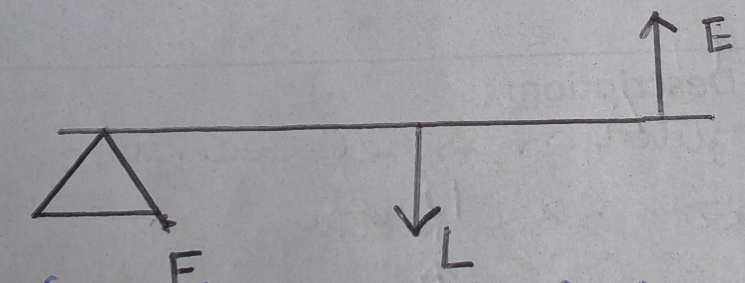 <p>The fulcrum is at one end of the lever</p><p class="has-focus">The load is in the middle</p><p class="has-focus">The effort is at the other end to the fulcrum </p><p class="has-focus">The direction of effort and load are opposites</p>