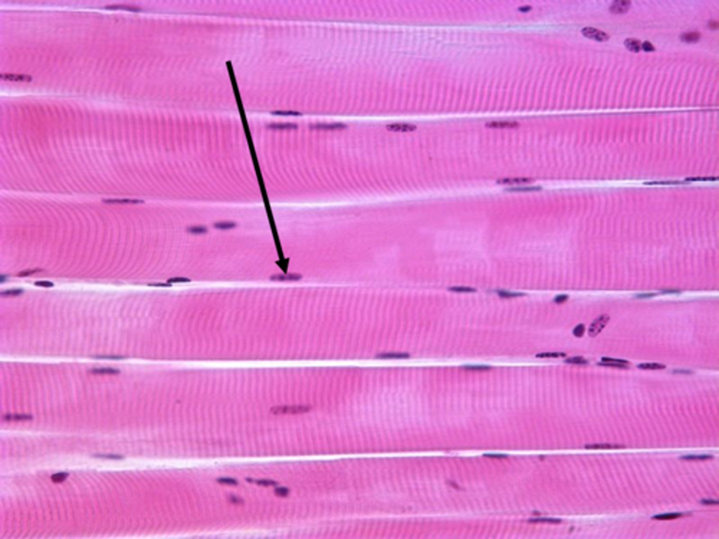 <p>type of structure?</p>