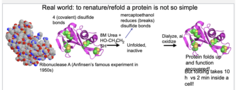 <p>4 covalent disulfide bonds -- 8M Urea -- mercaptoethanol (breaks disulfide bonds) -- unfolded, active -- dialyze, oxidize, protein folds up and function is recovered</p>
