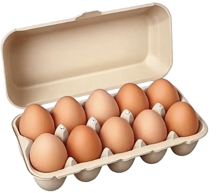<p>eggs</p>
