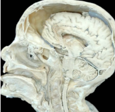 <p>Space = </p><p>Line down =</p><p>Right above = </p><p></p>