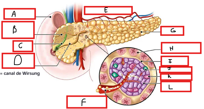 <p>Compéter ce schéma</p>