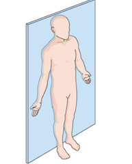 <p>Name the reference plane that separates the front from the back.</p>