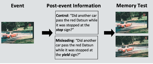 <p><span style="background-color: transparent;">If encounter misleading info after a crime, can be very inaccurate. </span></p><p><span style="background-color: transparent;">Eg, Pps in lab and watch a mock crime, could be video, live reenactment etc. </span></p><p><span style="background-color: transparent;">Short delay, then fed misleading info, could be questions or narrative. </span></p><p><span style="background-color: transparent;">Then had memories tested - could be written, pictures etc. how well do they remember details of og mock crime. </span></p><ul><li><p><span style="background-color: transparent;">Memory deficit after receiving misinformation can be 30-40%, sometimes even more depending on what info is presented </span></p></li></ul><p></p>