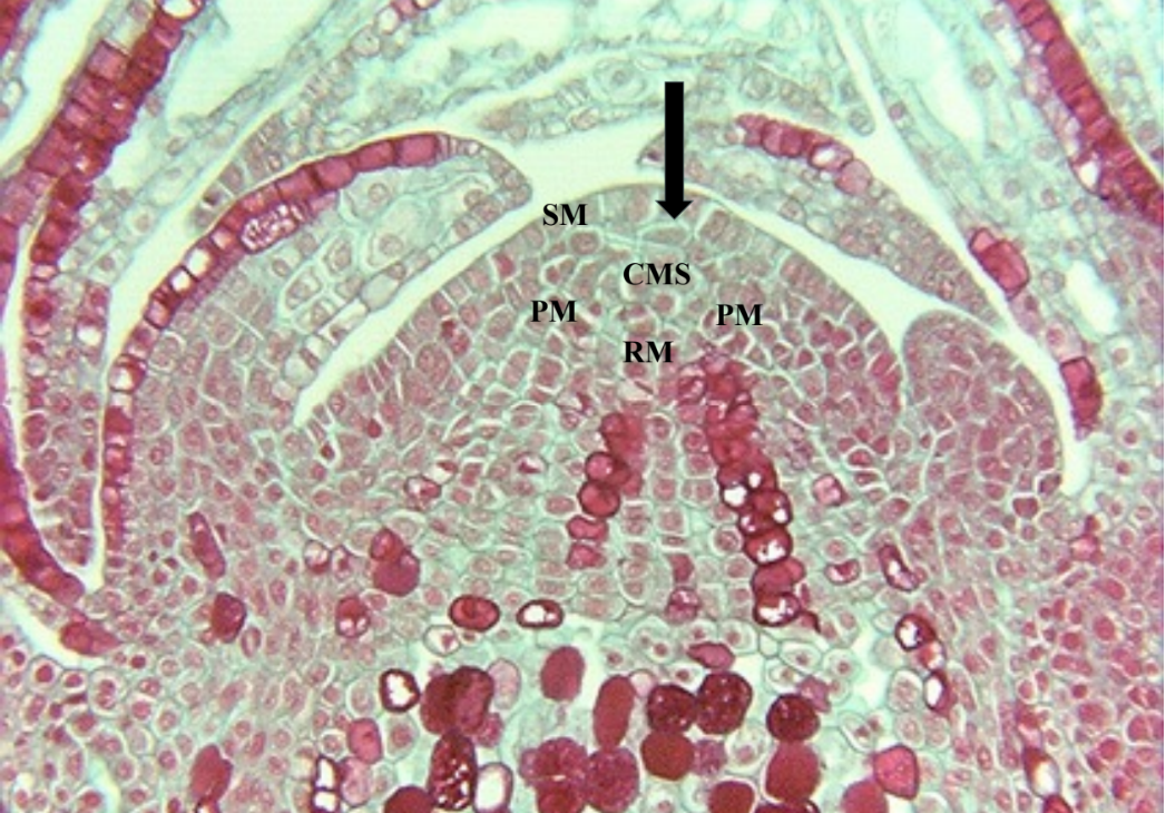 <p>What is this and what type of organization is it and what does it do? </p>