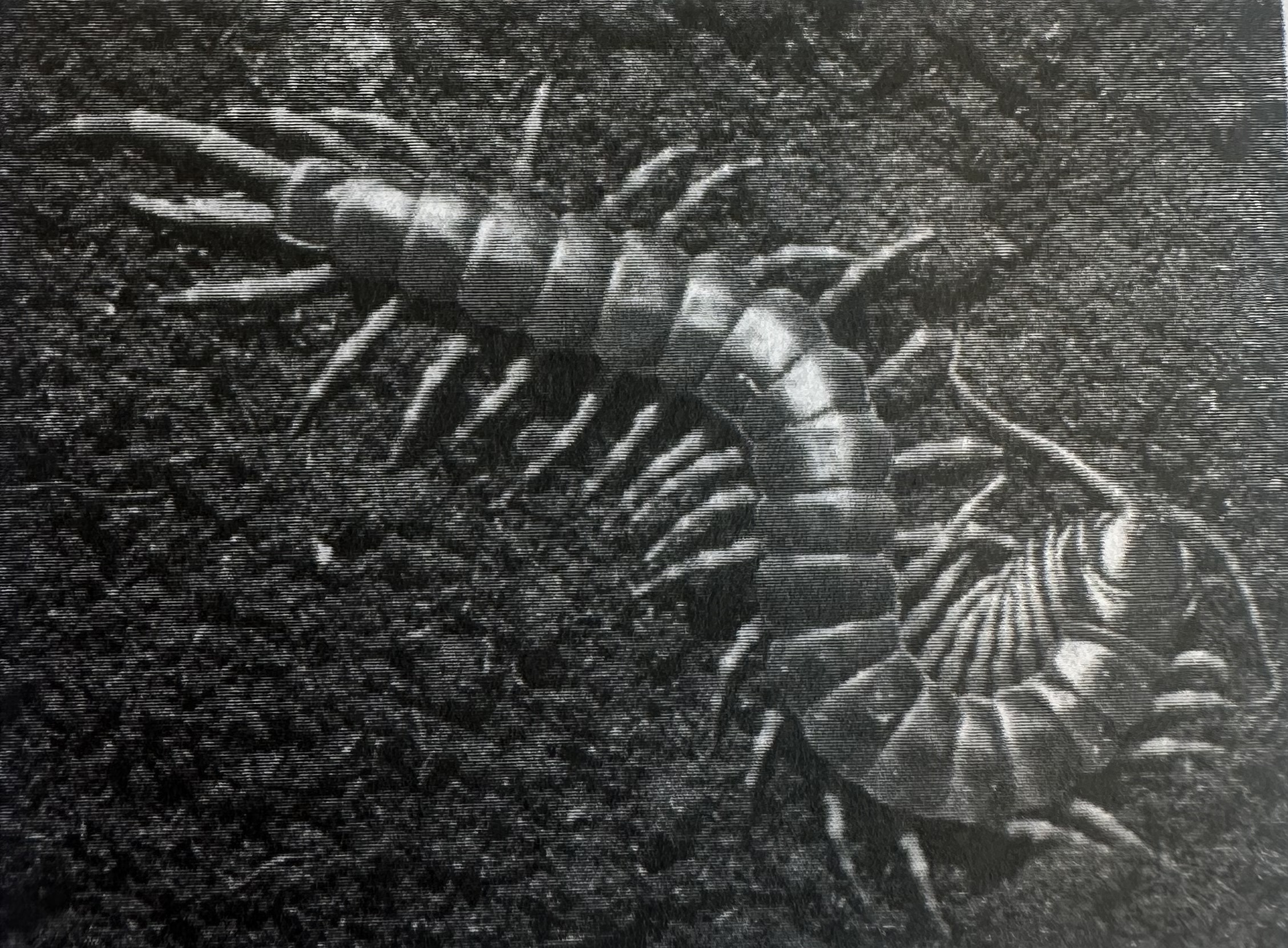 <ul><li><p><strong>Centipedes</strong></p></li><li><p><strong>One pair</strong> of legs per trunk segment</p></li><li><p>Predators with <strong>jaw-like</strong> mandibles</p></li><li><p>Have a pair of <strong>venomous</strong> fangs</p></li></ul><p></p>