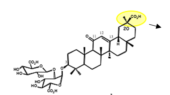 <p>a glicerrizina se sofrer hidrolise acida, fica sem os acidos glucoronicos e origina uma genina: </p><ul><li><p>qual o seu nome? </p></li><li><p>propriedades farmacologicas</p></li></ul><p></p>