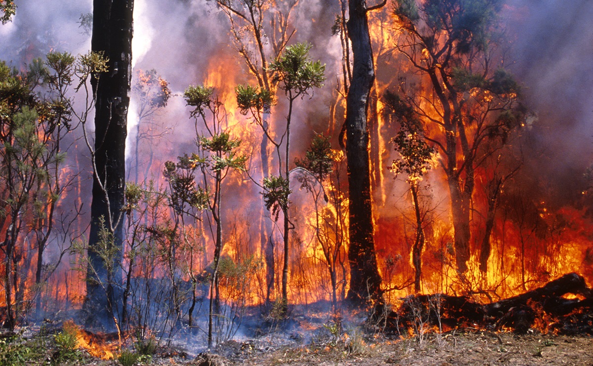 <ul><li><p>long-term changes in weather patterns (temp, rainfall, extreme weather events)</p></li><li><p>driven by human activities → increases greenhouse gases</p></li></ul><p>e.g. more heatwaves/bushfires in australia</p><p></p>