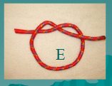 <p>what is E (Large Animal Knots and Ropes)</p>