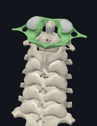 <p>C1 </p>