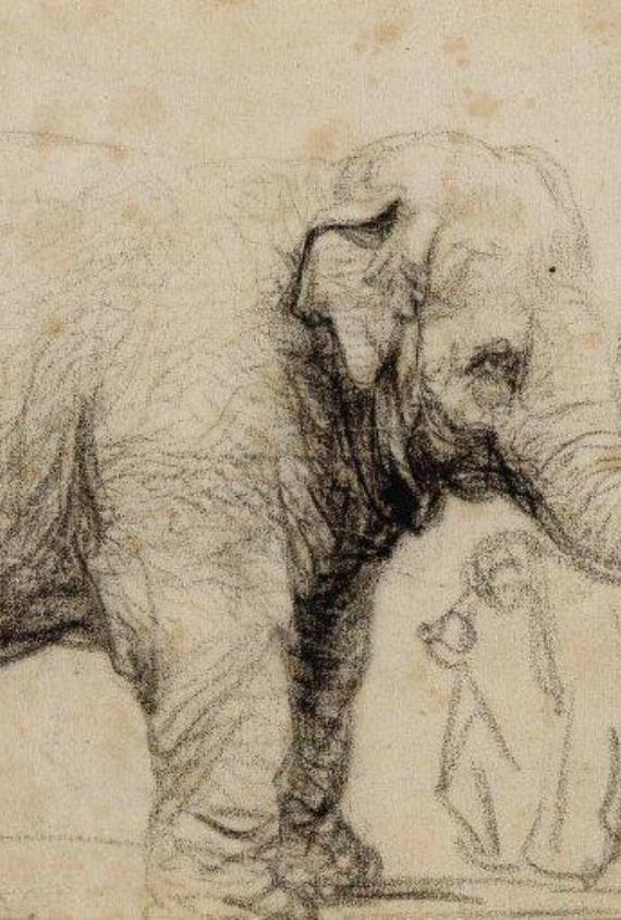 <p>An Elephant</p>