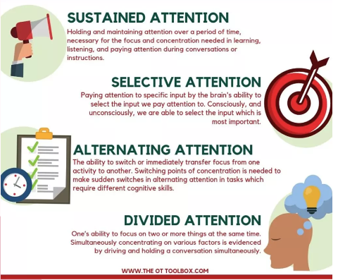 <p>Sustained attention</p>