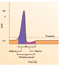 <p>frequency</p>