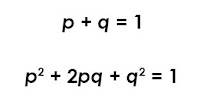 <p><span>In a population of anteaters, allele frequencies for the trait of tongue length are determined to be L = 0.7 and l = 0.3 in the summer of 2015. Calculate the expected genotype frequencies for anteater tongue length in the next generation if the population remains in Hardy-Weinberg equilibrium.</span></p>