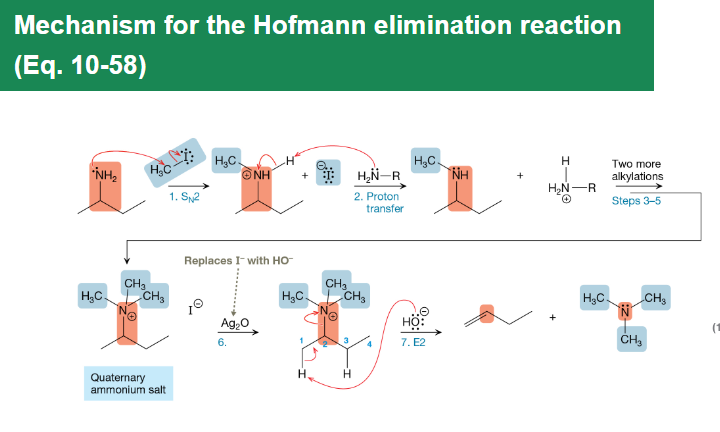 <p>Quaternary ammonium salts treated with strong base and heat undergo E2 elimination to form the least substituted alkene without changing the carbon skeleton.</p>