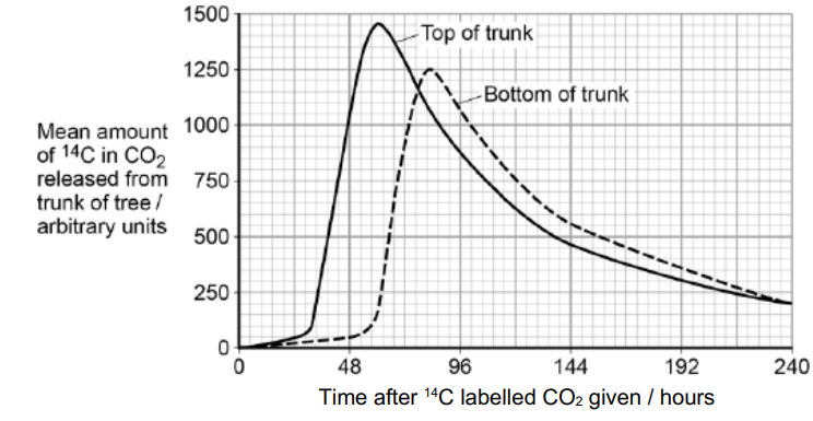 <p>Scientists measured translocation in the phloem of trees. They used carbon dioxide labelled with radioactive 14C. They put a large, clear plastic bag over the leaves and branches of each tree and added <sup>14</sup>CO<sub>2</sub>. The main trunk of the tree was not in the plastic bag. At regular intervals after adding the <sup>14</sup>CO<sub>2</sub> to the bag, the scientists measured the amount of <sup>14</sup>CO<sub>2</sub> released from the top and bottom of the main trunk of the tree. On the surface of the trunk of these trees, there are pores for gas exchange. The following figure shows the scientists’ results</p><p>How long did it take the <sup>14</sup>C label to get from the top of the trunk to the bottom of the trunk? Explain how you reached your answer. (2) </p>