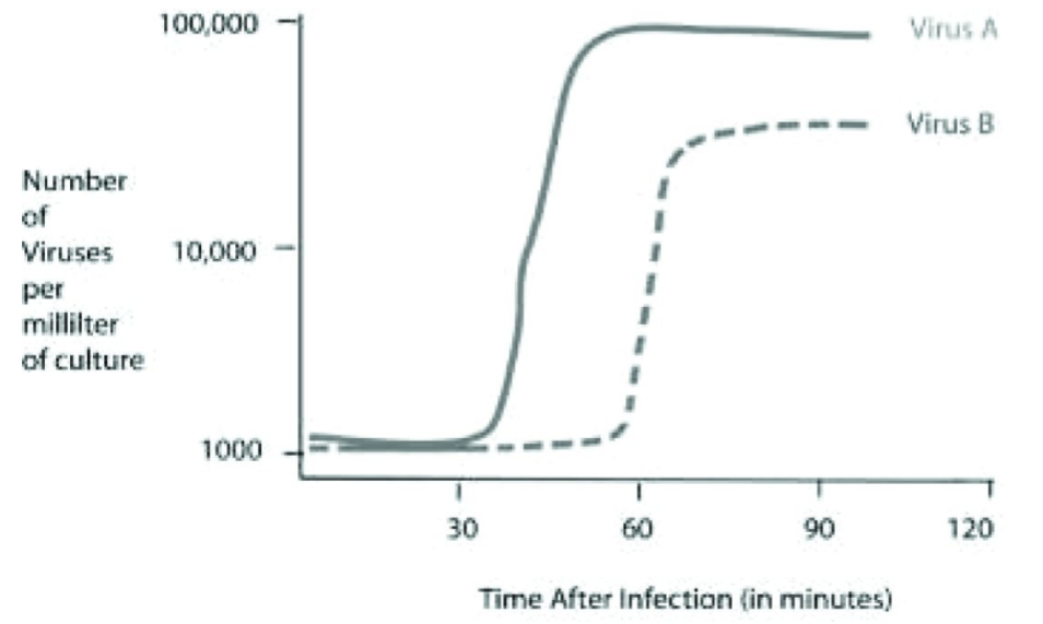 <p>12)Cells were infected with approximately 1,000 copies of either virus A or virus B at the 0 time point. At five-minute intervals, a sample of the virus and cell mixture was removed. All intact cells were removed from the sample, and the number of viruses per milliliter of culture was determined and plotted in the graph above.</p><p>In a second experiment, 1 mL of each viral sample collected at 90 minutes post infection was mixed with new, uninfected cell cultures. Which of the following best describes these new cultures?</p><p>A) The new culture infected with virus B will plateau with approximately 50,000 viral particles per milliliter of culture.</p><p>B) The new culture infected with virus A will result in more infected cells than the new culture infected with virus B.</p><p>C) The new culture infected with virus B will have a shorter lytic cycle than seen in the original virus B culture.</p><p>D) The new culture infected with virus A will require 60 minutes before new viral particles will be released into the culture.</p>