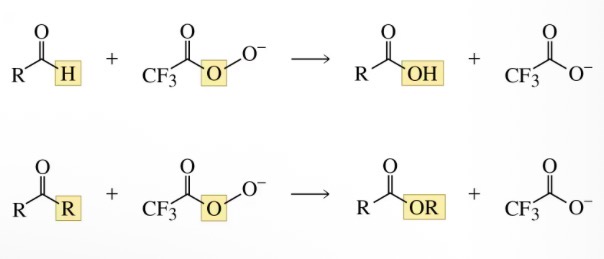 <p>Carboxylic acids and esters</p>