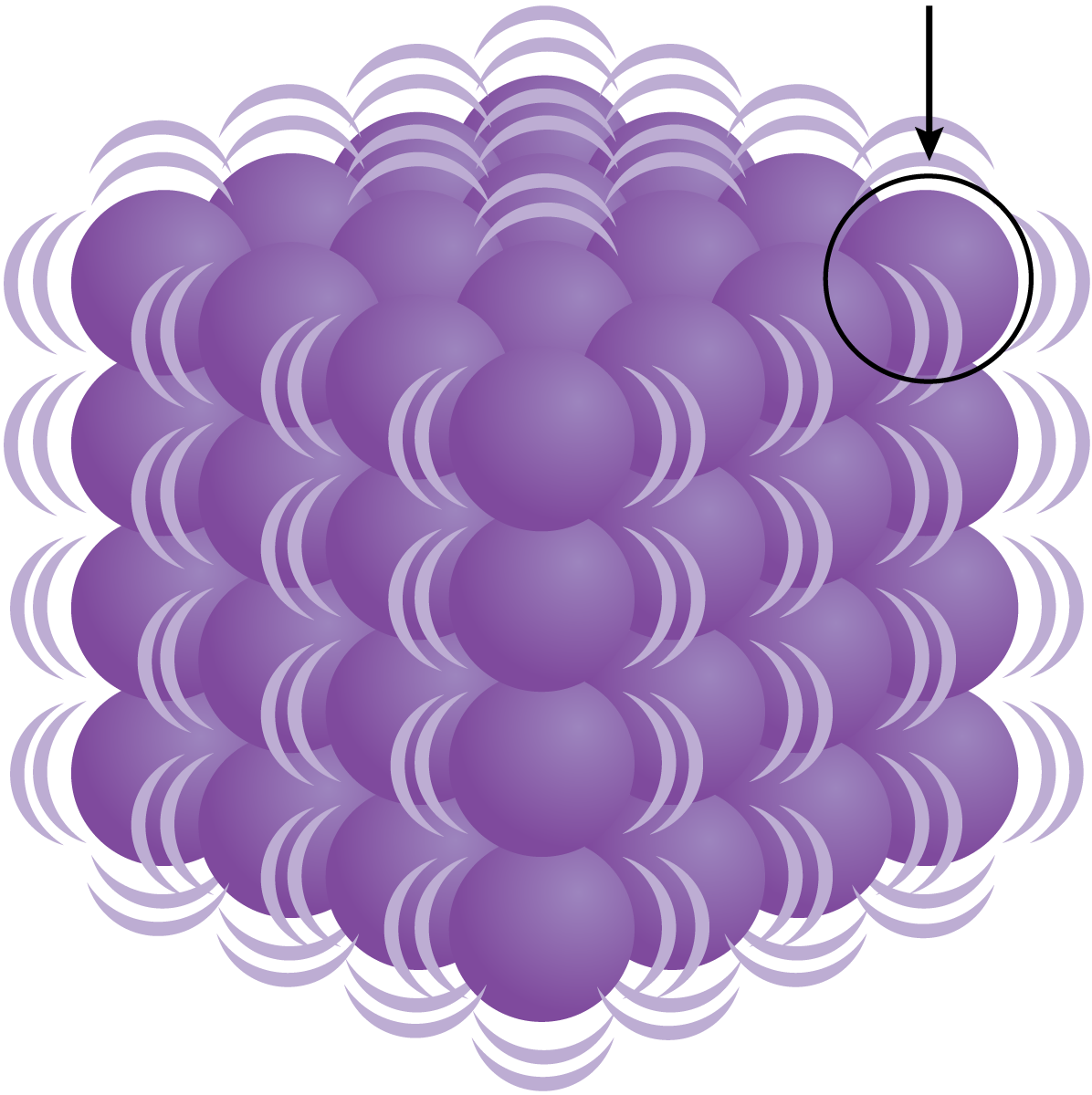 <p>atom</p>