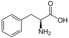 <p>Phenylalanine</p><p>1 Letter: F</p><p>3 Letters: Phe</p><p>Non-polar</p><p>Aromatic</p>