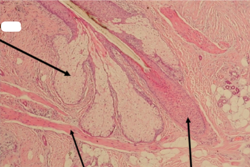 <p>Slide 13</p>