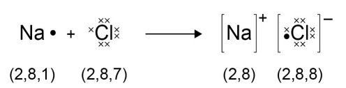 <p>What type of bonding does sodium chloride have? Describe it.</p>