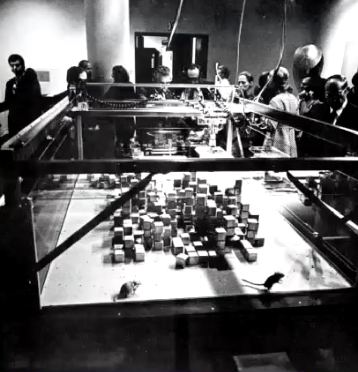 <p>1969–70; installation with gerbils and robotic arm showing interaction between living systems and machines</p>