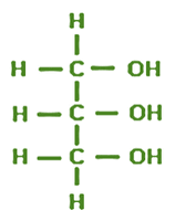 <p>Lipids </p><ul><li><p>monomer</p></li><li><p>elements</p></li><li><p>bond</p></li><li><p>hydrophobic or hydrophillic</p></li></ul><p></p>