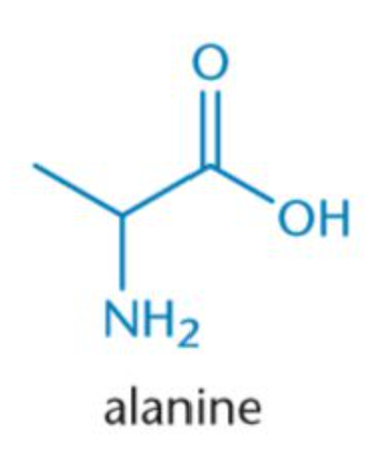 <p>Ala, A</p><p>non-polar</p>