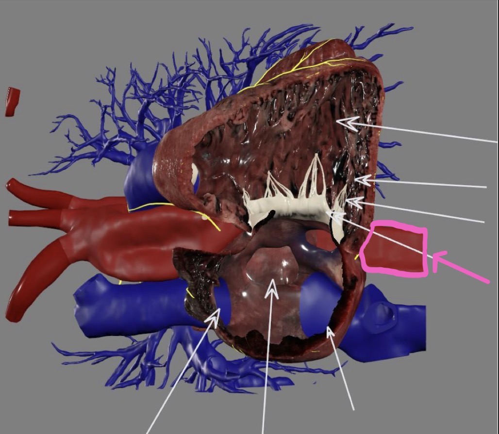 <p>What’s the highlighted area?</p>