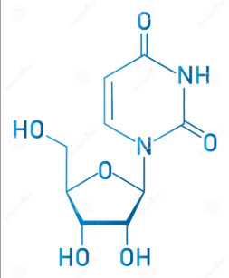 <p>nucleoside or nucleotide?</p>