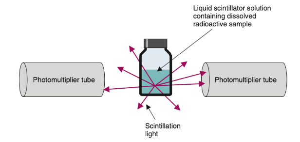 <p>Liquid scintillation (LS) counting; It is used to detect low-energy photons</p>