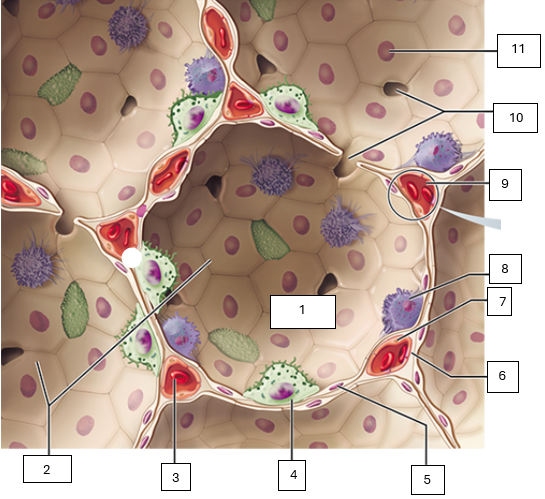 <p>What is this image depicting?</p>