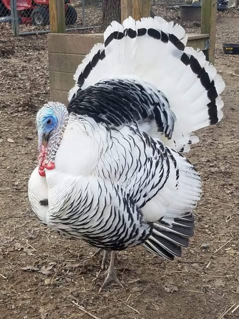 <p>identify</p>