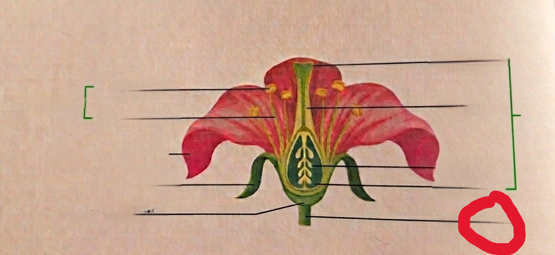 <p>What is this?</p>