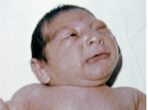 <p></p>