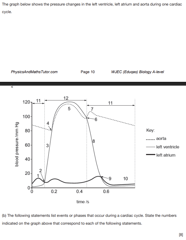 <p>(i) ventricular diastole (ventricles are relaxing):</p><p>(ii) recoil of aorta:</p><p>(iii) atrial systole:</p><p>(iv) closing of semi-lunar valves: </p><p>(v) opening of semi-lunar valves:</p><p>(vi) atrio-ventricular valves close:</p><p>(vii) ventricular systole (ventricles are contracting):</p><p>(viii) passive filling of atrium by venous return:</p>