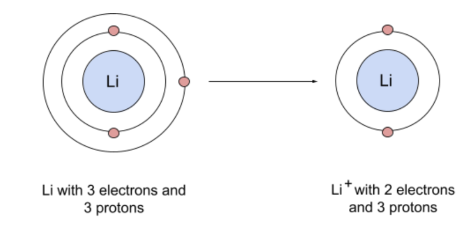 <ul><li><p>lose electrons → positive charge </p></li></ul><p></p>