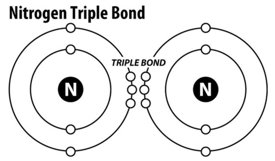 <p>nitrogen triple bond</p>