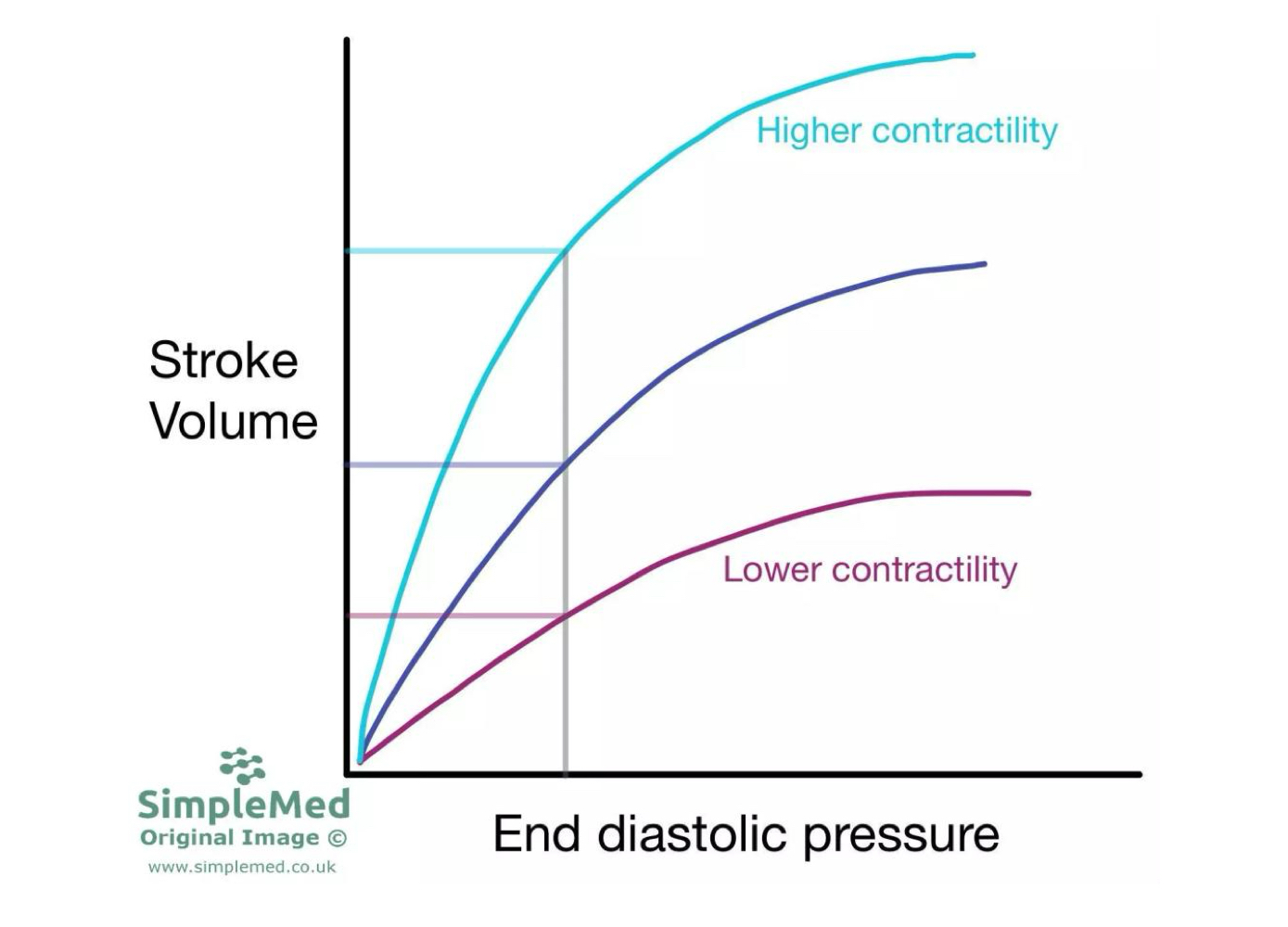 <ul><li><p>Factors that increase cardiac contractility will lead to an upward and leftward shift of the curve.</p></li><li><p>In contrast, factors that decrease cardiac contractility will lead to a downward and rightward shift of the curve</p></li><li><p>Stronger contraction = more blood out, less left behind and vice versa</p></li></ul><p></p>
