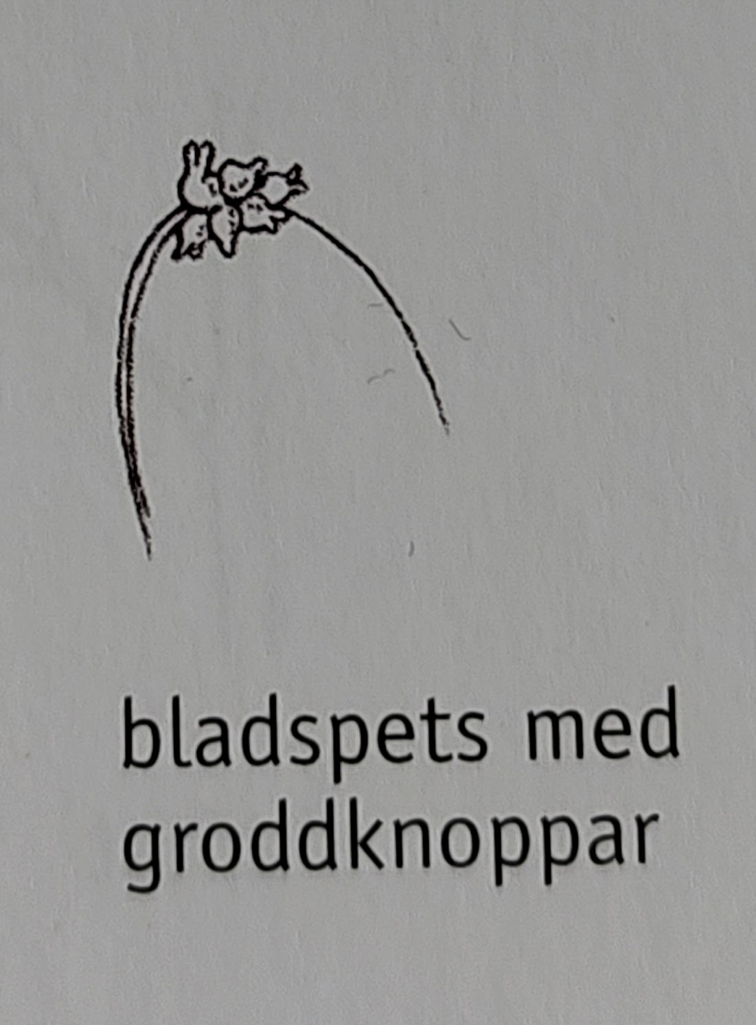 <p></p>