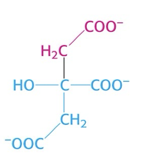 <p>what is this structure?</p>