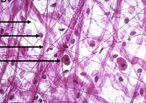 <p>What is this?</p>