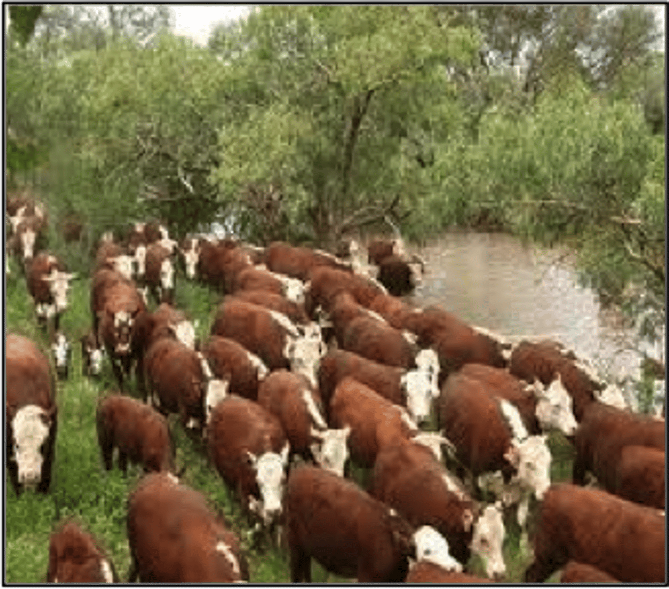 <p>the impact of these factors depends on how dense the population is</p>